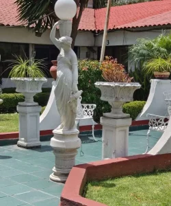 Patio Jardín 2
